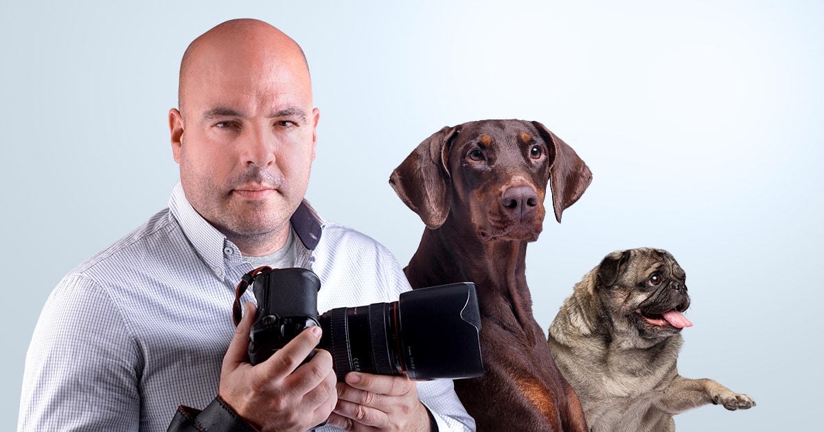 Corso di fotografia per animali domestici - Ideas y Negocios Rentables
