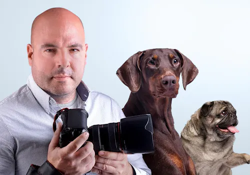 Curso de Fotografía para Mascotas
